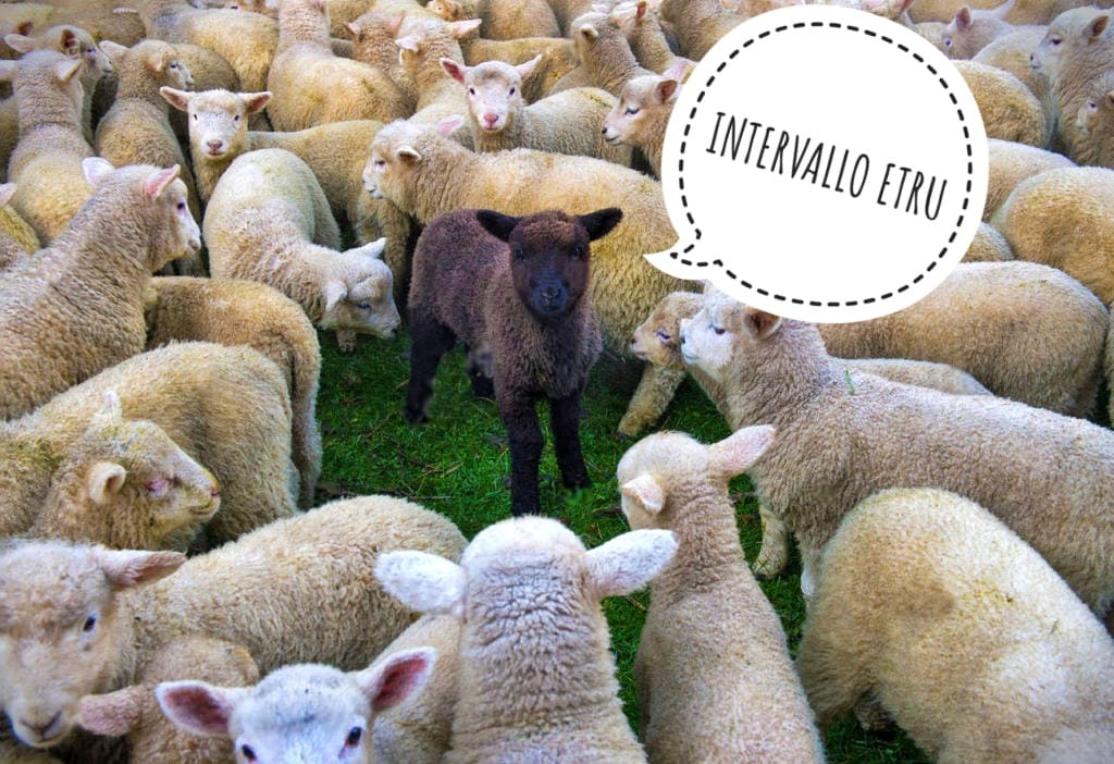 Intervallo ETRU 10 febbraio